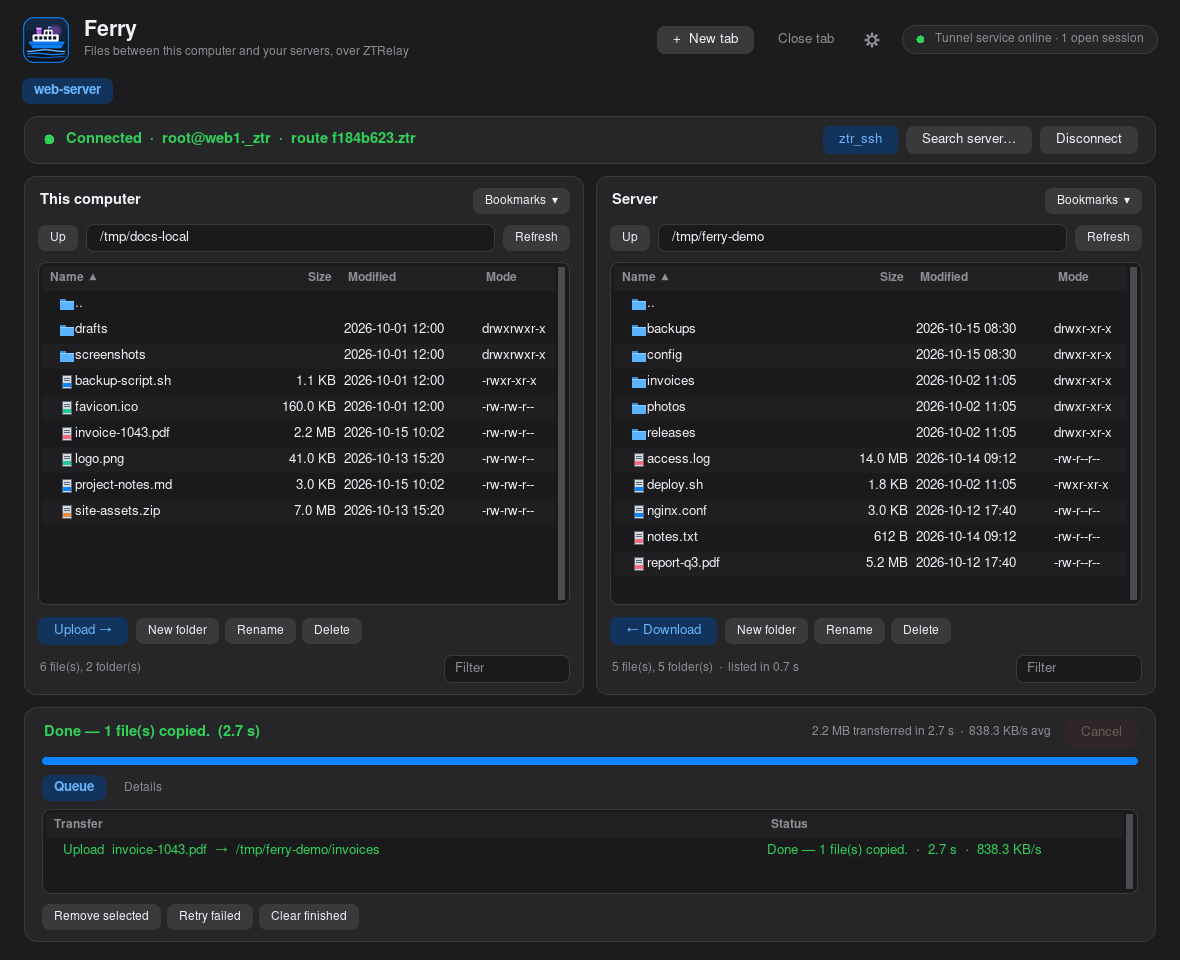Your computer on one side, a server on the other. Drag files across or double-click them. Every transfer goes through your route, and the queue shows how each one went.